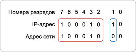 Frame 2087329809.webp