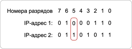 Frame 2087329809-9.webp