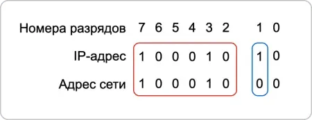 Frame 2087329809.webp