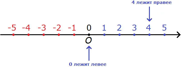 координатная прямая рисунок 9