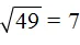 корень из 49 равно 7